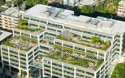 © Andrew Buchanan www.subtlelightphoto.com